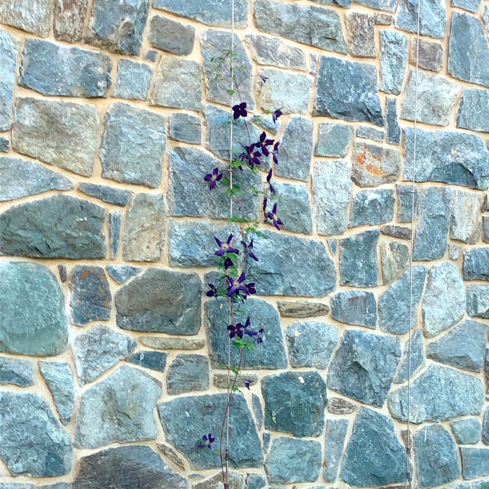 Meet your Posher, Meghan